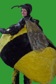 Dancing and Musical Bees